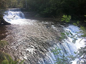 Liffy Falls